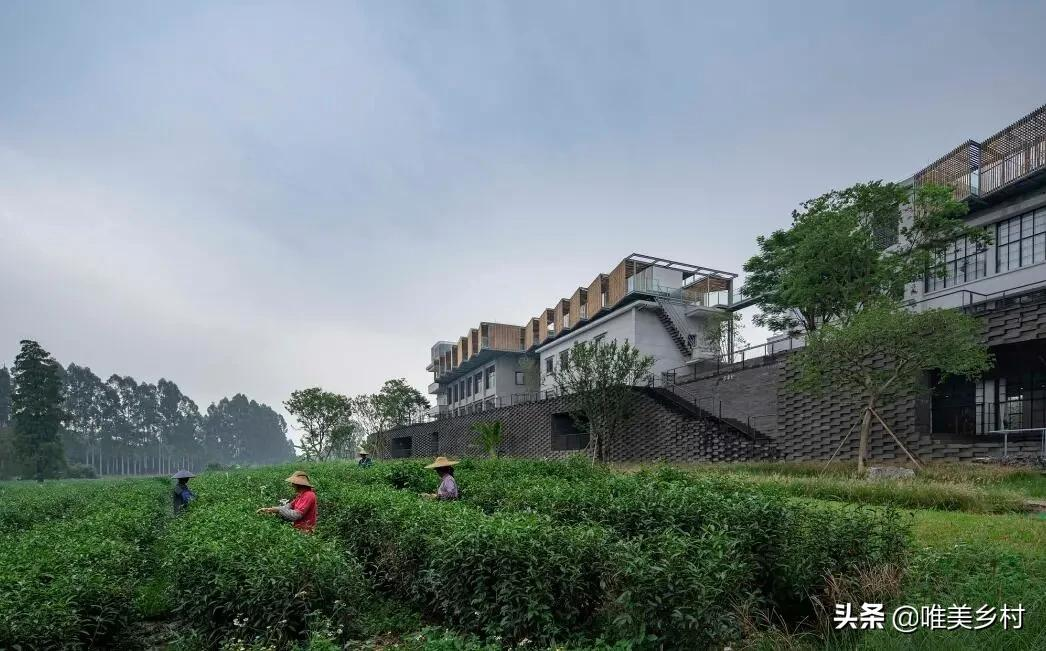 资本下乡，参与乡村振兴！四“共”模式，6种收益，农民持续受益