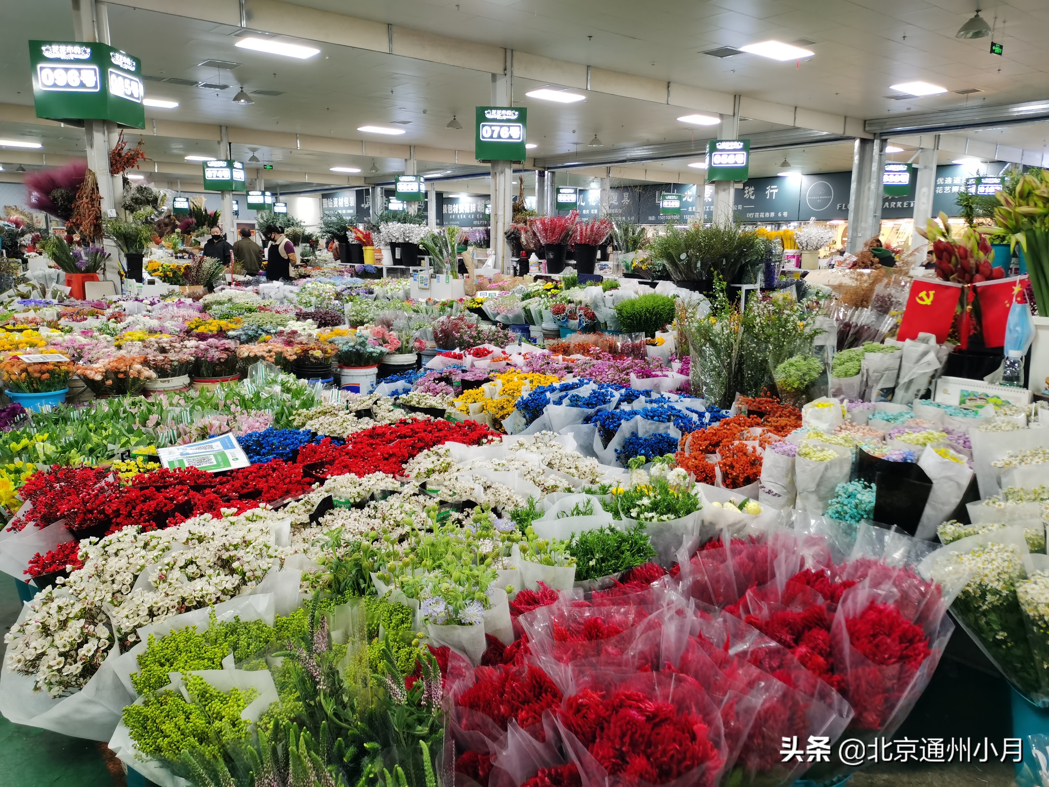 北京花卉批发市场都有哪些地方，北京花卉市场种植基地