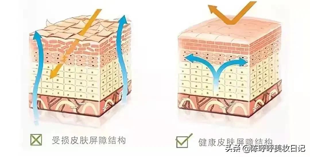 早晚正确的护肤顺序是什么？从15+到50岁都要看的护肤小常识