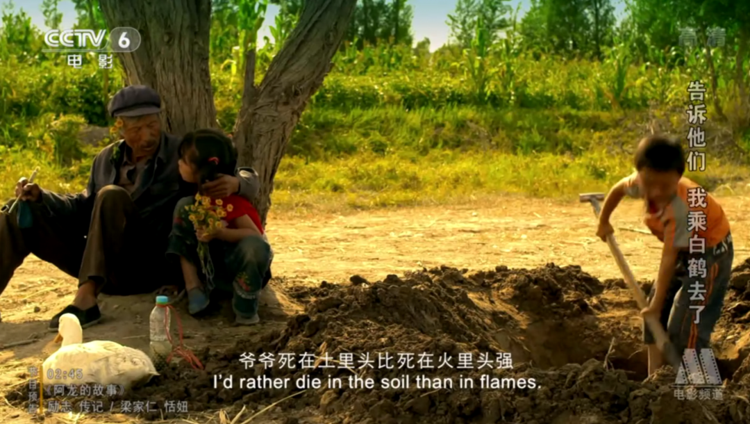 院线8分票房血扑！演员全是“关系户”，只剩海清是“真”演员？