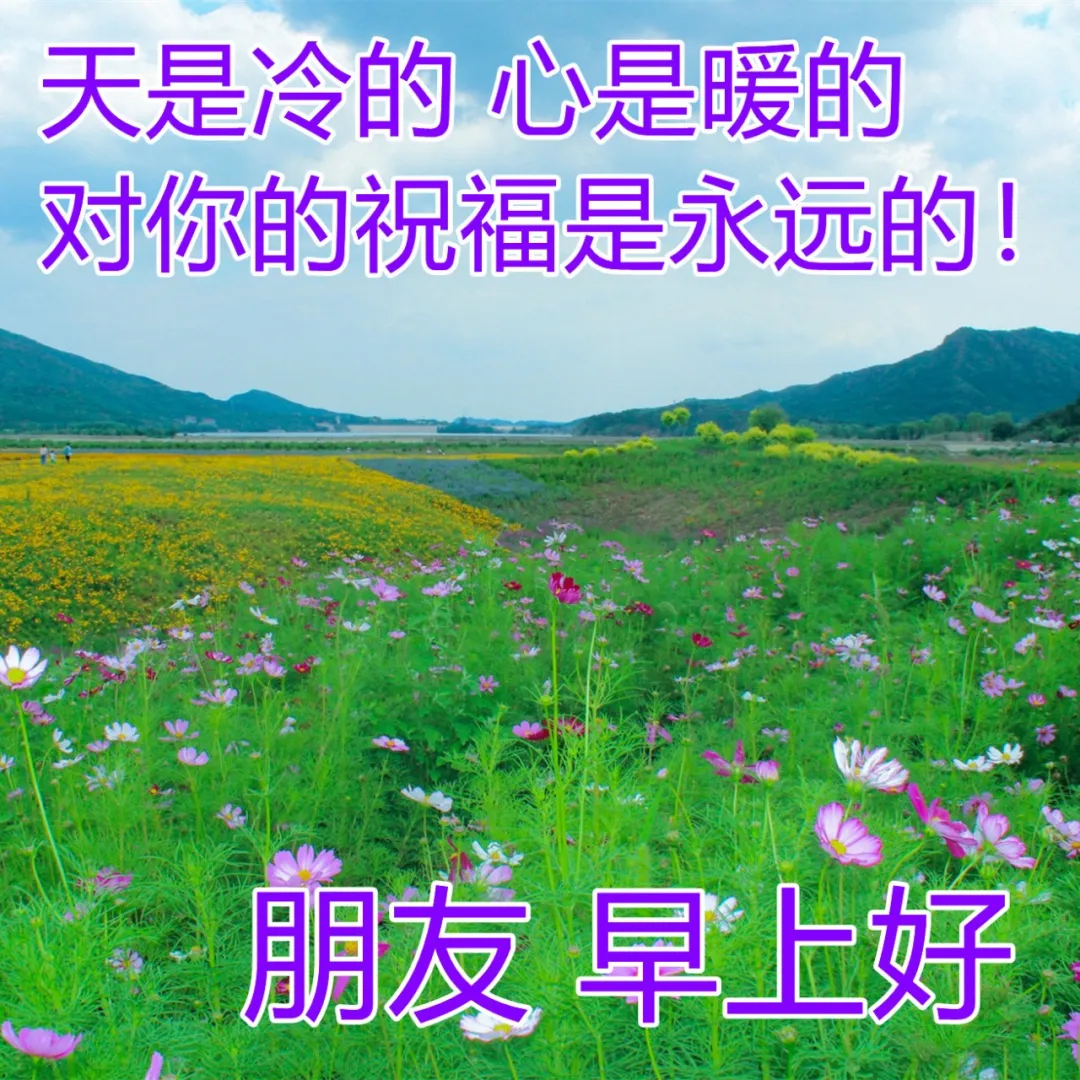 早安图片带字温馨图片 早安图片2022年简约清新最新版图片