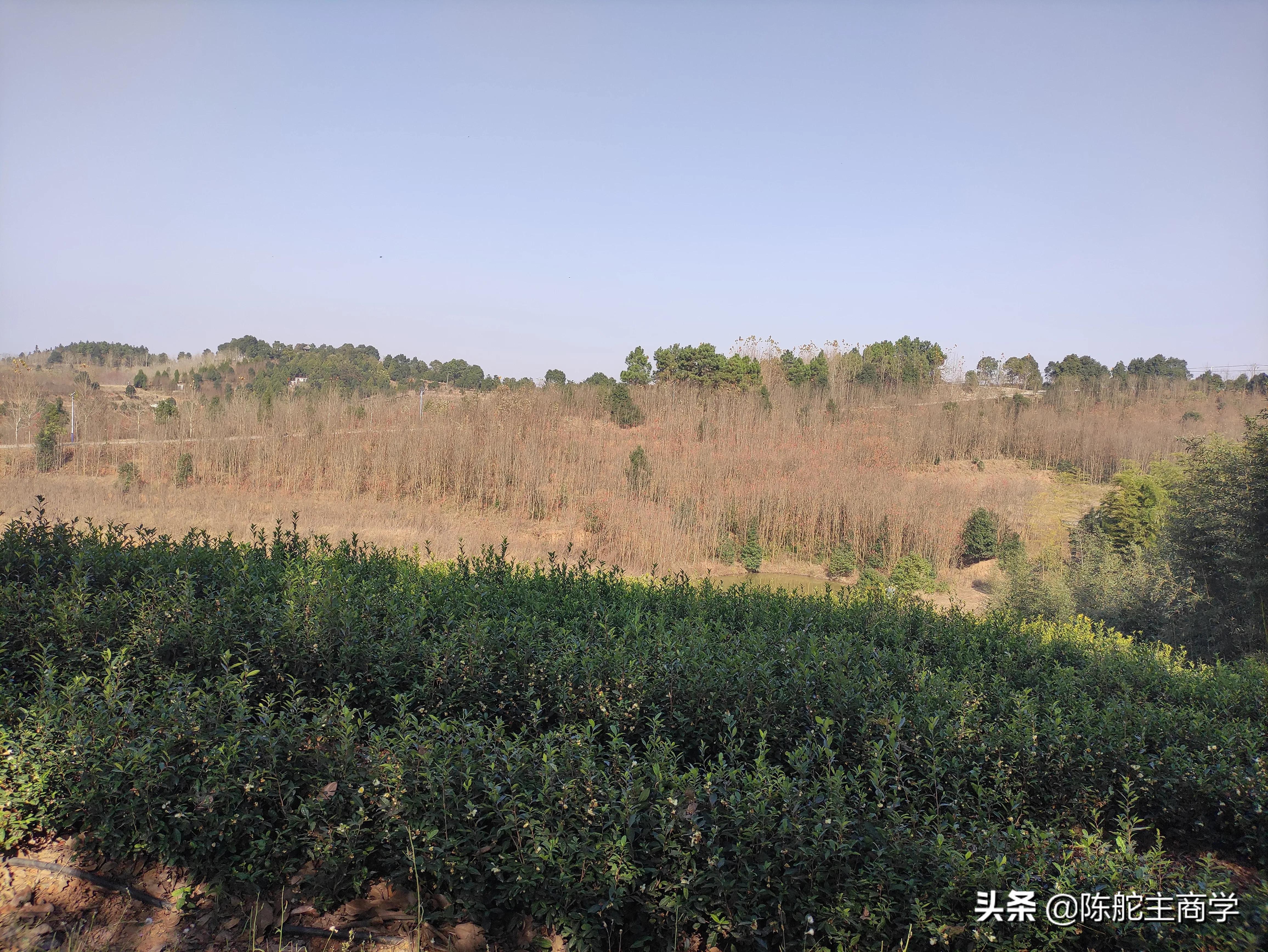 为什么你做自媒体一天100块都挣不到？真相来了