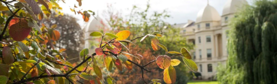 会计与金融专业QS欧洲排名前20强院校有哪些？