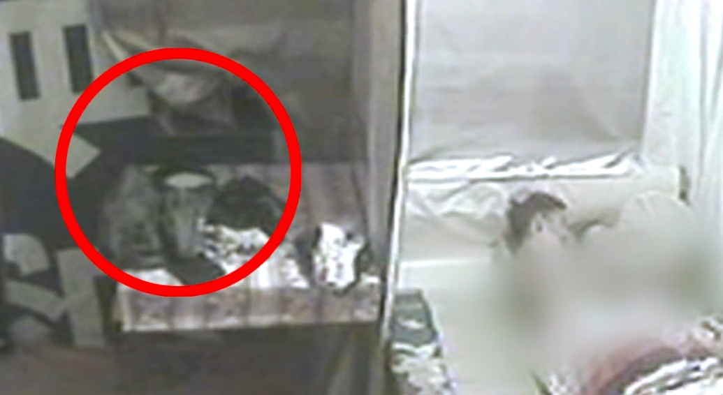 纪录片《案件》：记者拍下仙人跳全过程，犯罪团伙用低价招揽客人