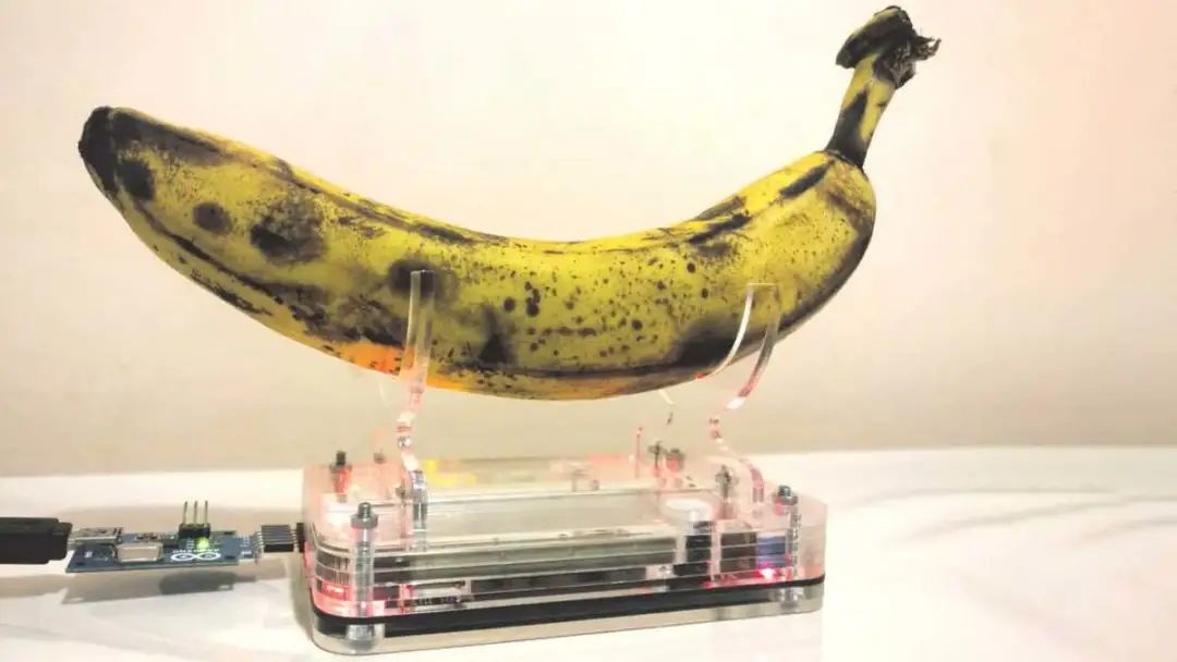 随机数生成器（香蕉为什么能做随机数生成器？）