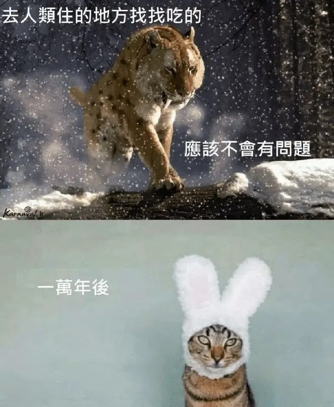 神回复：终于升官了，领导把我拉进管理群，初次进群怎么打招呼？