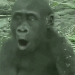 紧急通知！准考证打印时间推迟！考研滞留可跨省借考