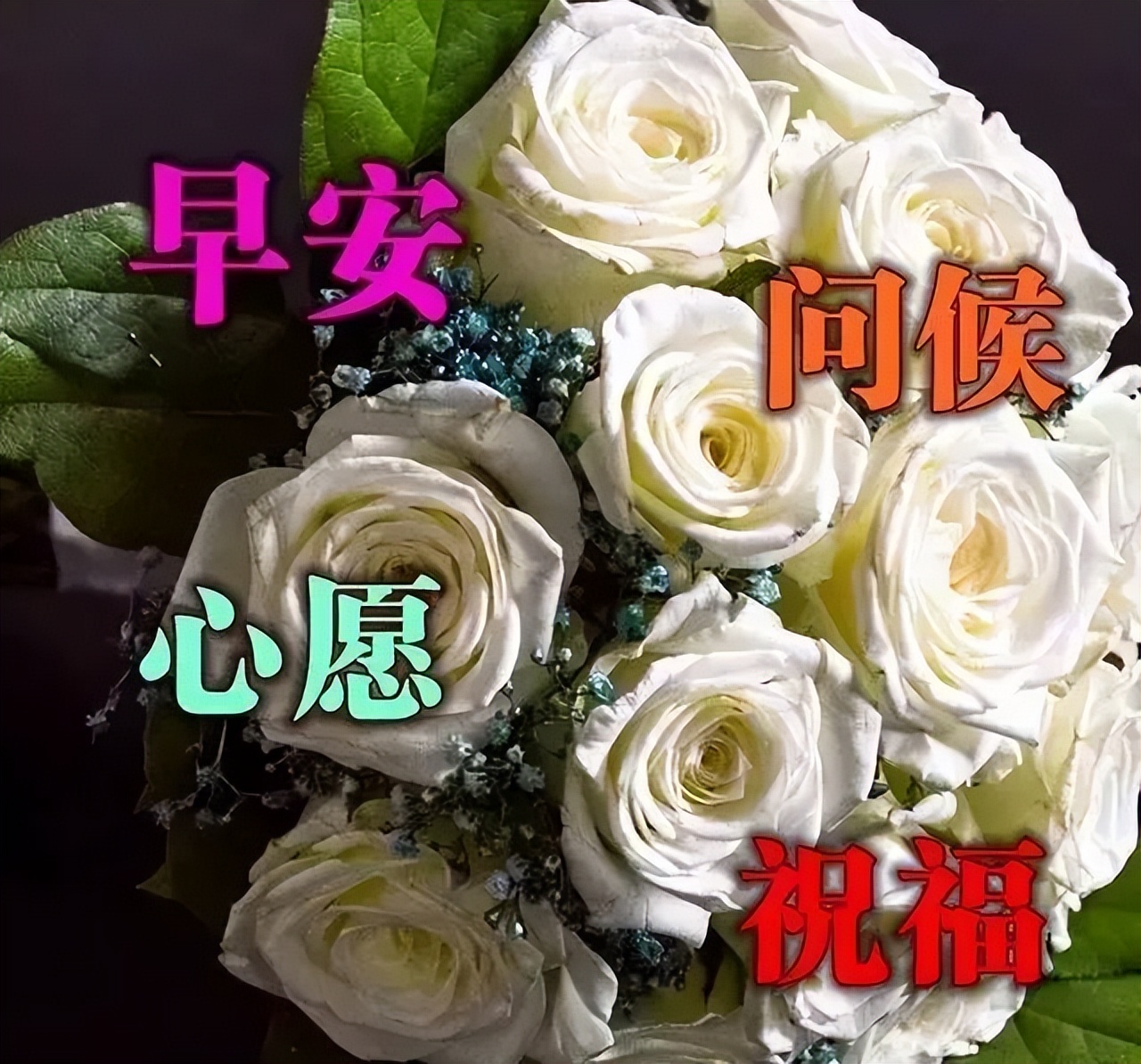 2022唯美夏天早上好问候语图片文字精选 不变的牵挂、永恒的祝福图片