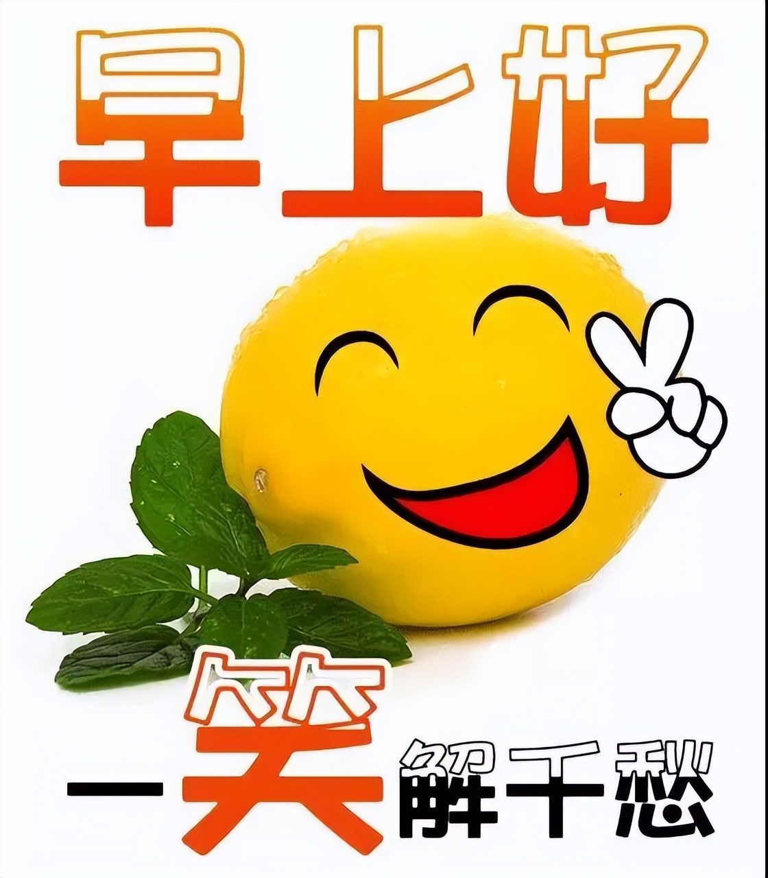 周六早上好问候语，愉快清晨问候早上好短句 言语不多、祝福无价图片
