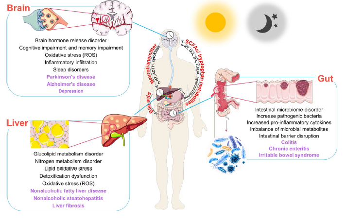 科学家推荐一个熬夜的补救方法：泡杯茶