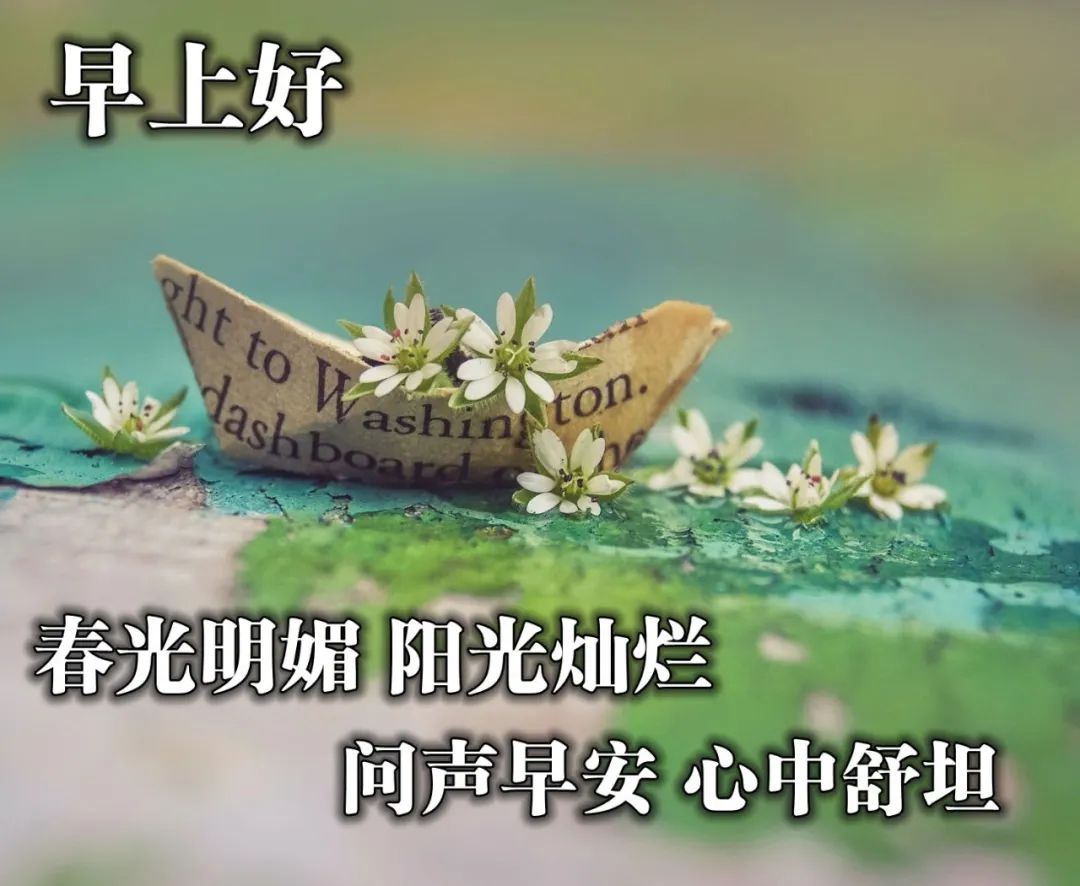新的一天微信早上好的问候语图片 问声早安、心中舒坦图片