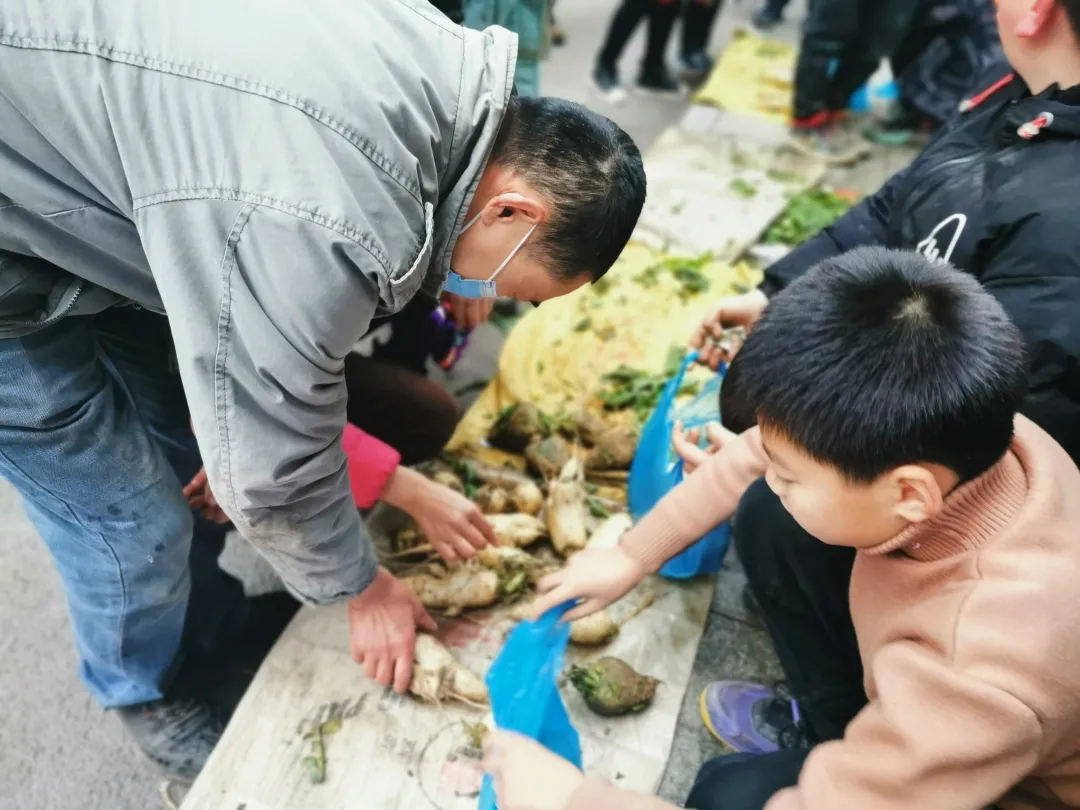 「城南小学•德育工作」小基地大收获 劳动实践快乐多