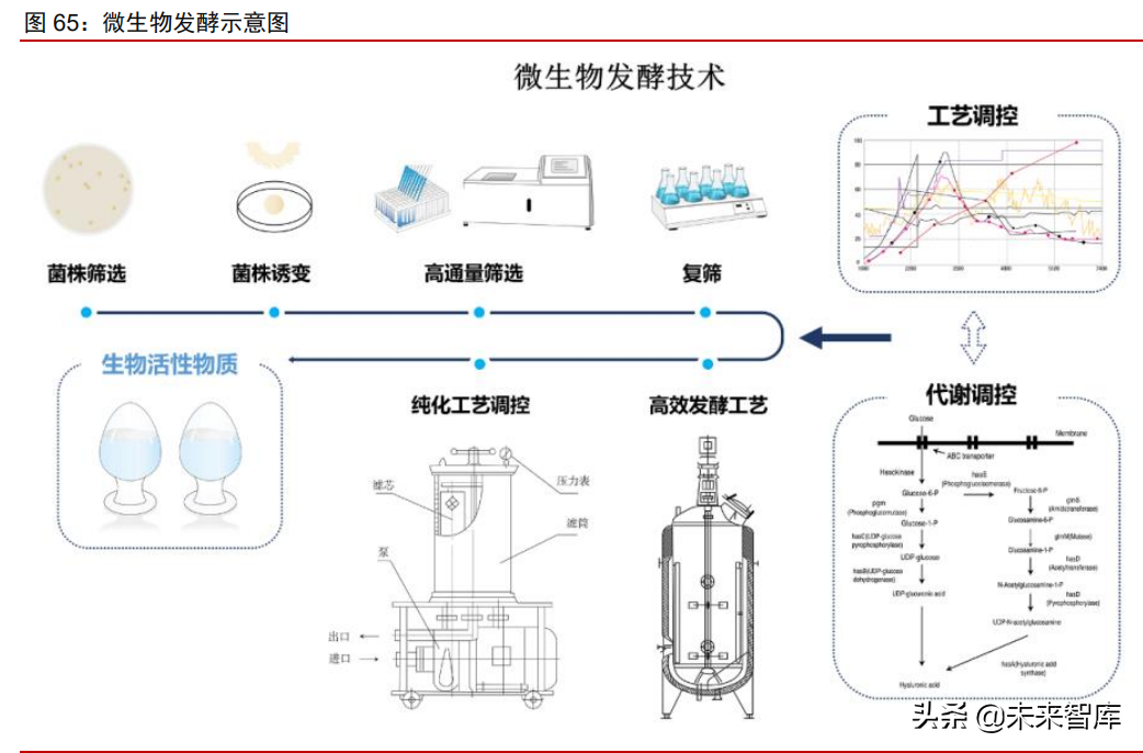 美妆及化妆品原料行业深度专题：原料江湖，谁主沉浮（下）