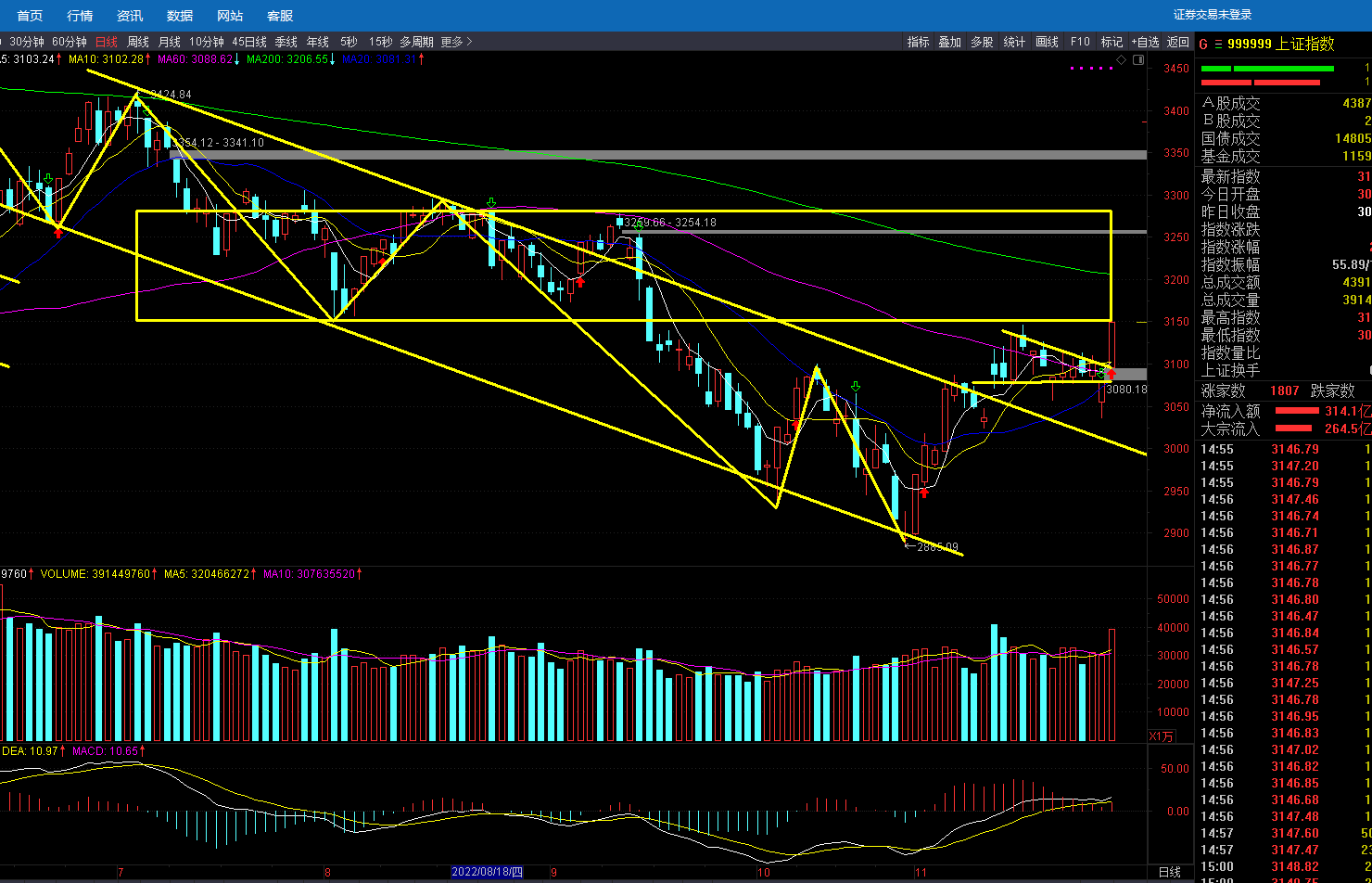 今日股票002553宽幅震荡收评(今日收评受政策面利