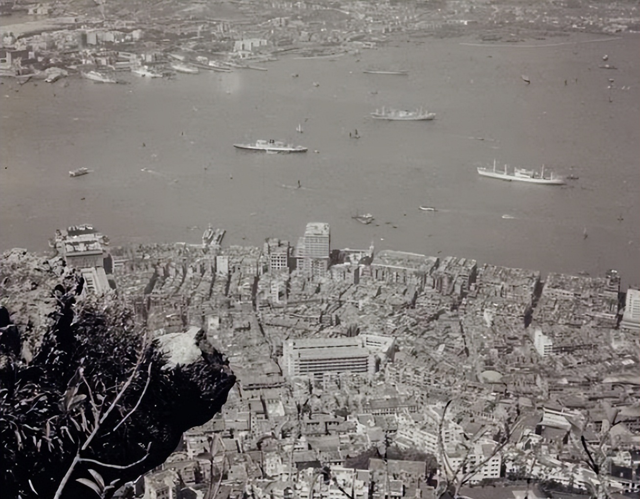 54�꣬�������ֱ�̨�����ٳ֣������ɽ�����������أ������Σ�