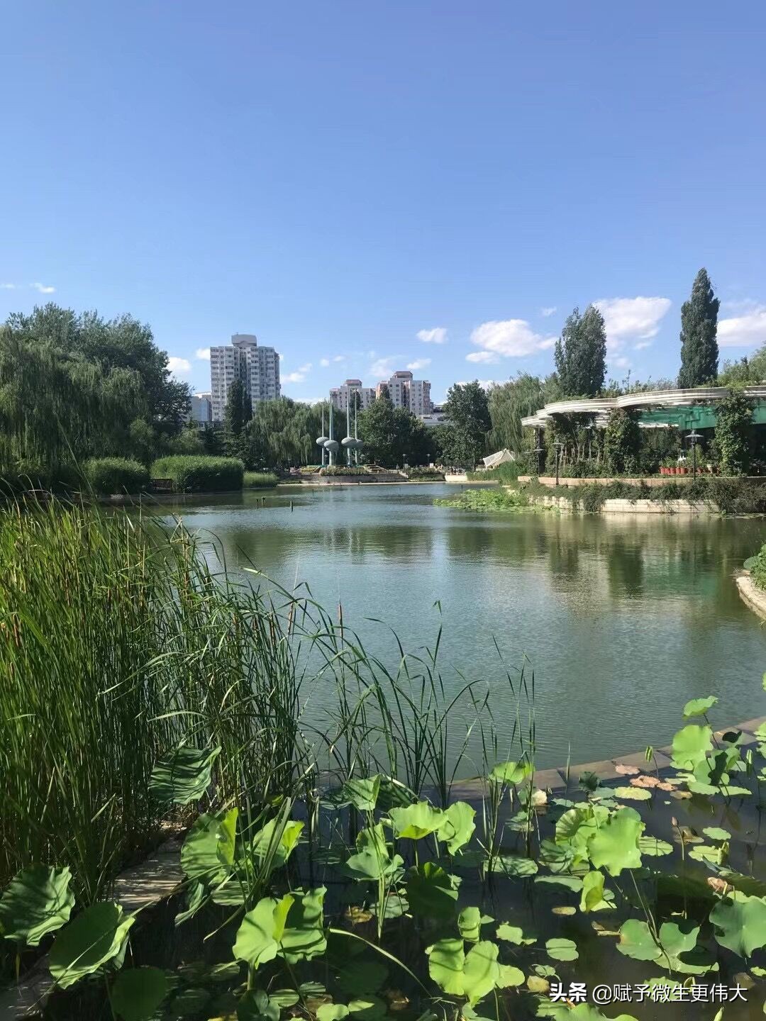 乐山乐水——正是一年风去处，占道京华夏至时