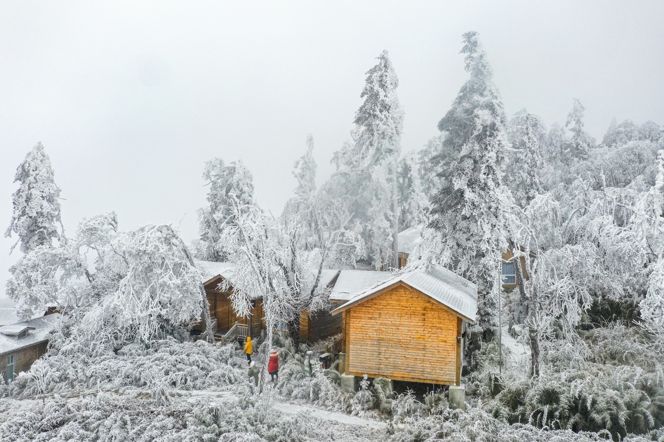 云海之上，贡嘎之巅，王岗坪冰雪之旅