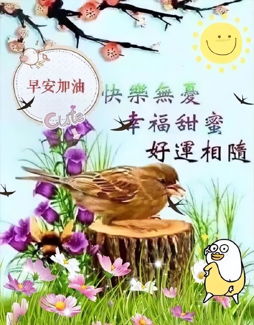 星期三朋友圈早上好祝福图片大全 早安愉快、温暖常绕、幸福伴跑图片