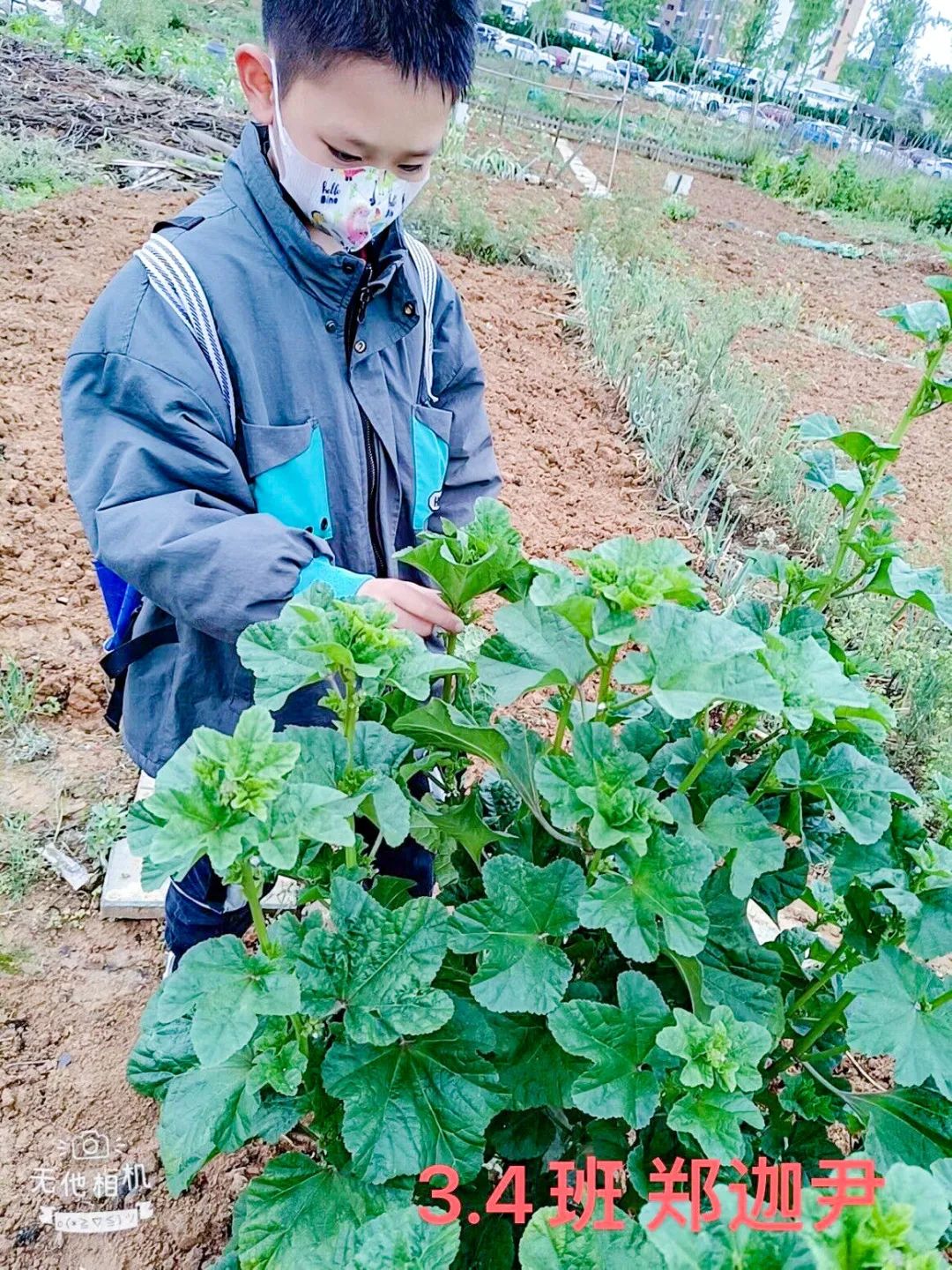 黄甲小学开展“人人参与科技节，我的科技节我做主”科技节活动