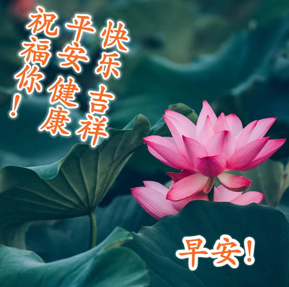 早上好图片带字 早上好问候动态表情图片 快乐活在当下 尽心就是完美图片