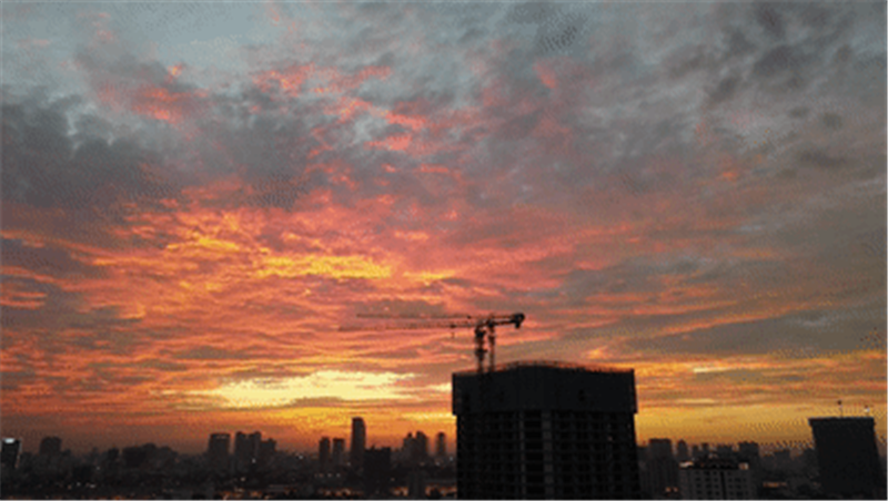 柬埔寨紫晶壹号：匠心启新岁，信笺言温情