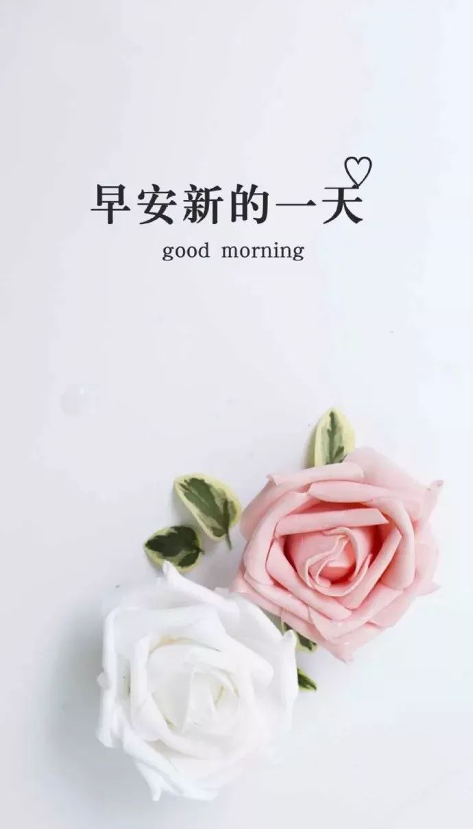 唯美早上好经典说说 优美的早上好微信问候语 健康无限、平安是福图片