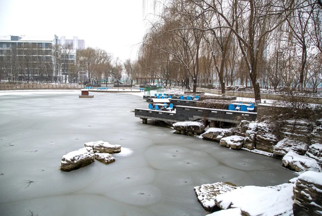 开年瑞雪，师大校园寂静如诗