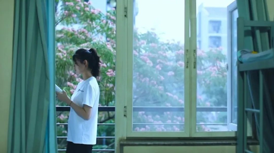 为什么可以报考河北师范大学？