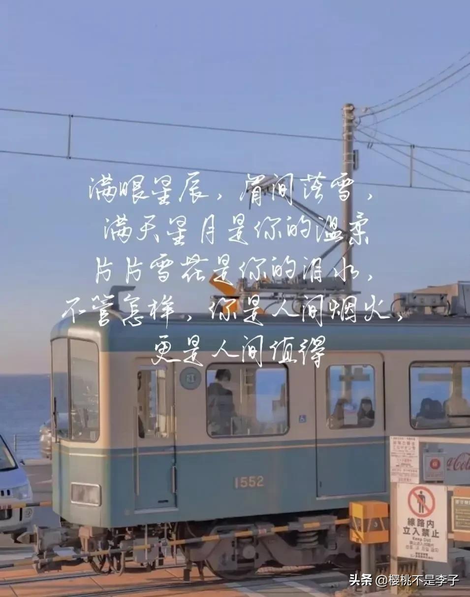 一些值得收藏的高级小众句子