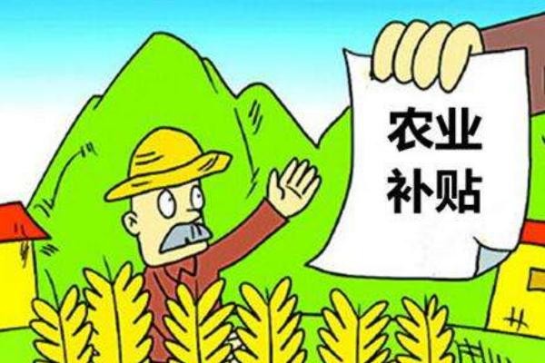 印度粮食产量仅中国一半，百万儿童饿死，为何还能成粮食出口大国