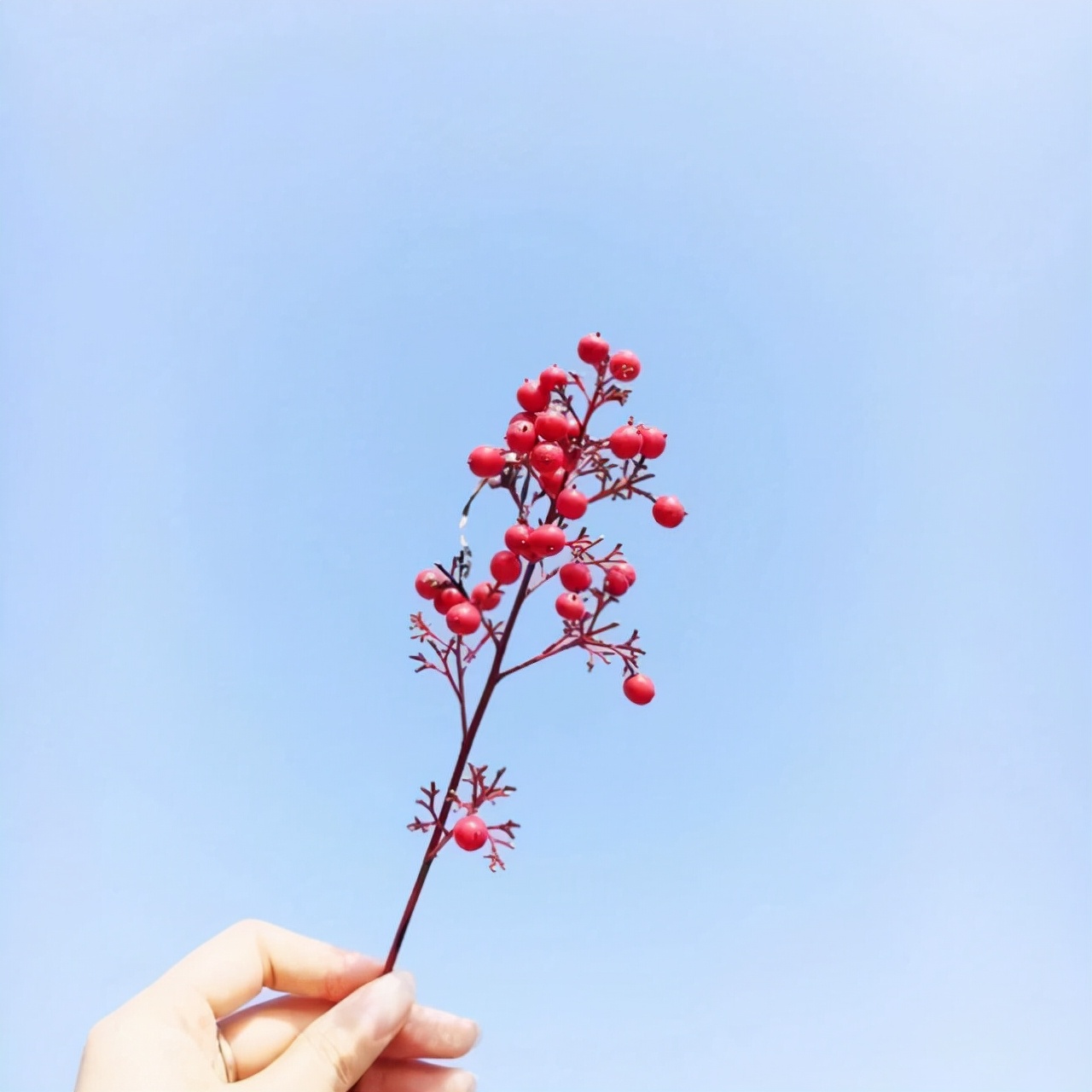 心情压抑的句子，读后让人心碎