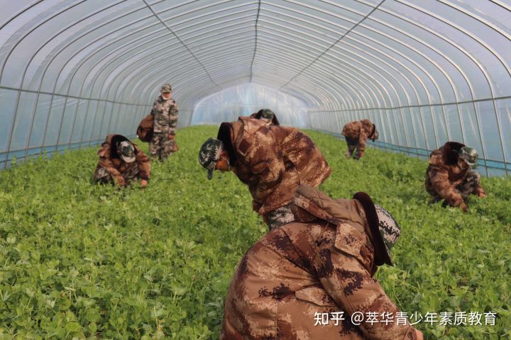 诚信是成就孩子一生的“品牌”，培养孩子诚信的“4”个方法