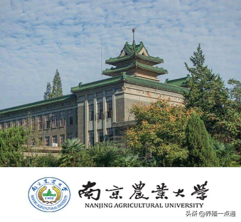 孙少琛，南京农业大学教授、博导，动物繁殖育种专家