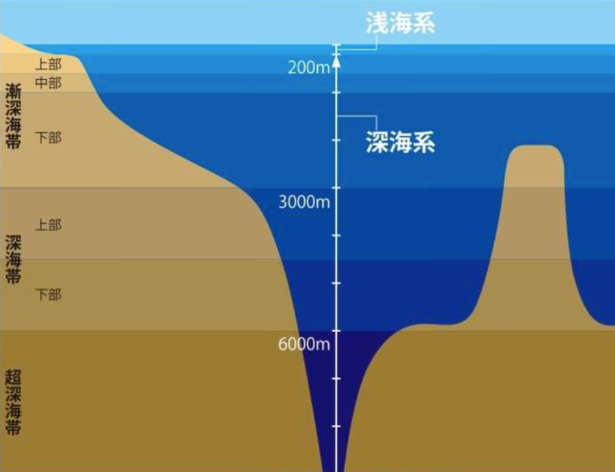 人类在深海中,发现了什么?