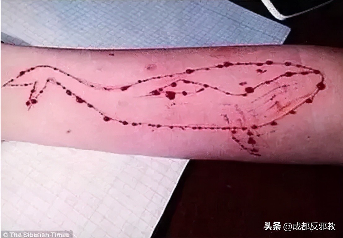 2名花季少女相约跳楼自杀，蓝鲸游戏究竟是什么?