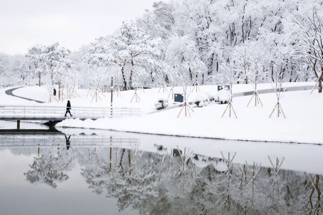 写雪最传神的三句诗，第一句太绝了，不愧是千古流传的名句