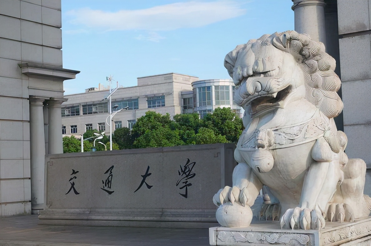 考生高考556分成功入学上交大，堪称高考锦鲤，是填报志愿的功劳