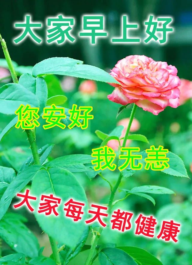 周二朋友圈新鲜清明祝福早上好问候语温馨 珍惜好时光、健康过百年图片