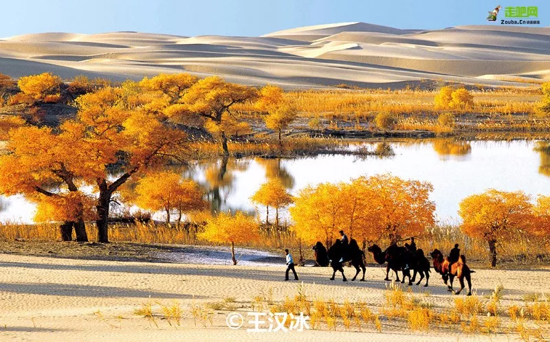 一眼万元!国内最贵景区,一张门票3500元,外国人30万,它凭啥?