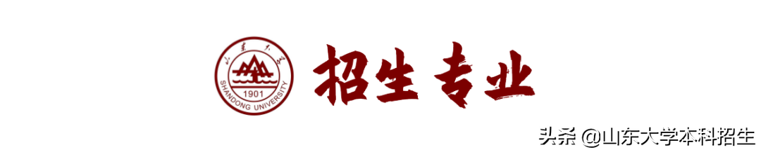 山东大学2022年强基计划招生简章