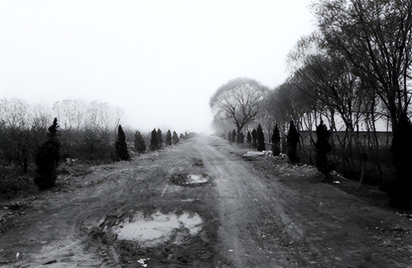 2014年安徽脑梗老人呓语不断，子女不明其意，上报后惊动军区领导