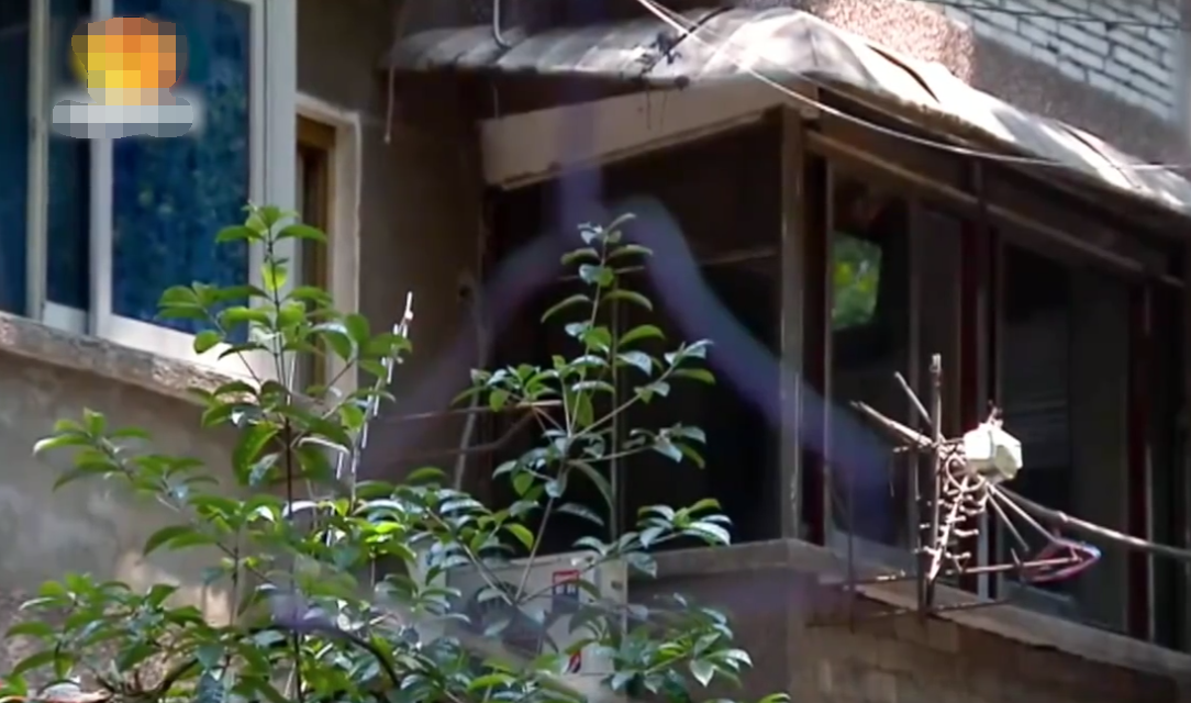 老人将房子给外甥女，瘫痪后求当老板的女儿养老，女儿：不认识他