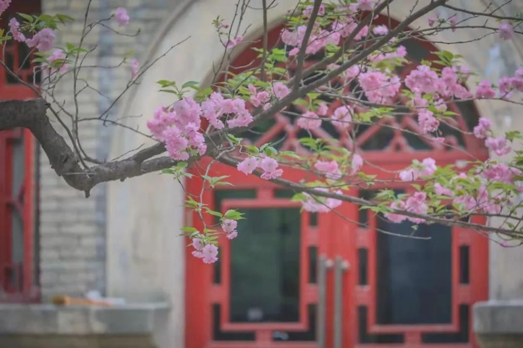 强！陕西一高校获教育部官方报道！