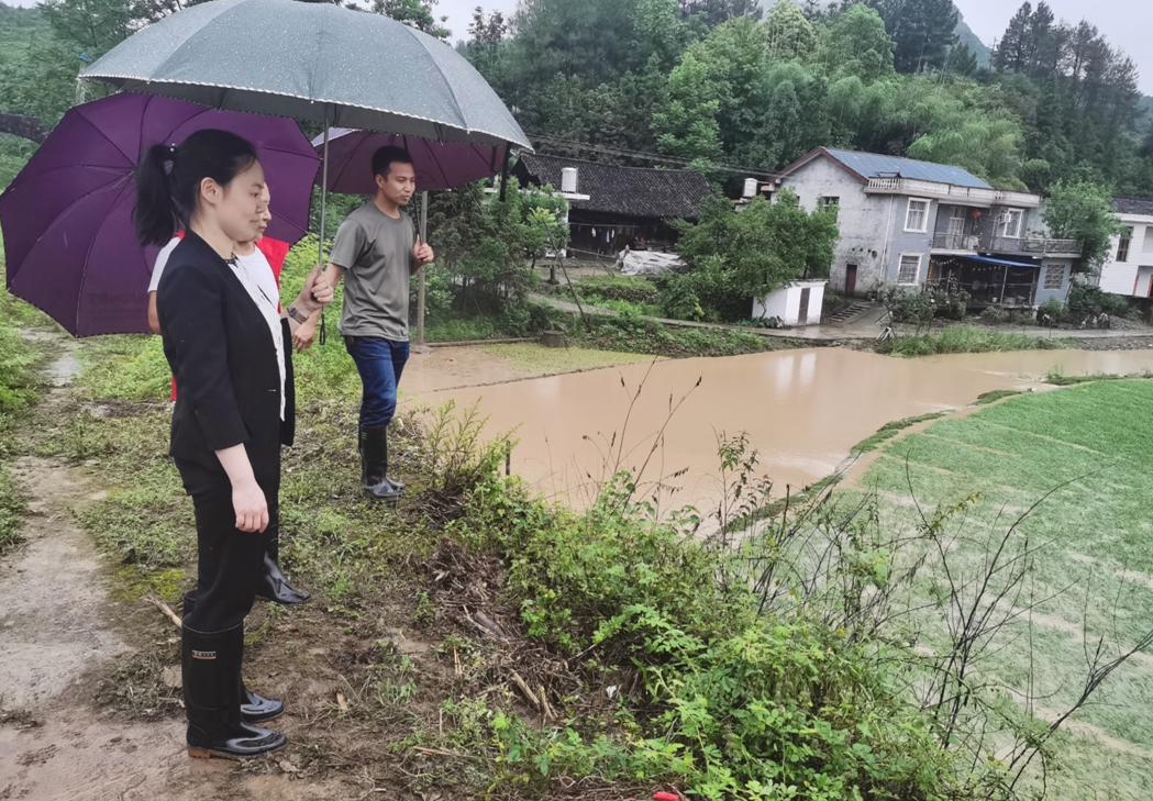 溆浦人大均坪镇人大代表闻汛而动