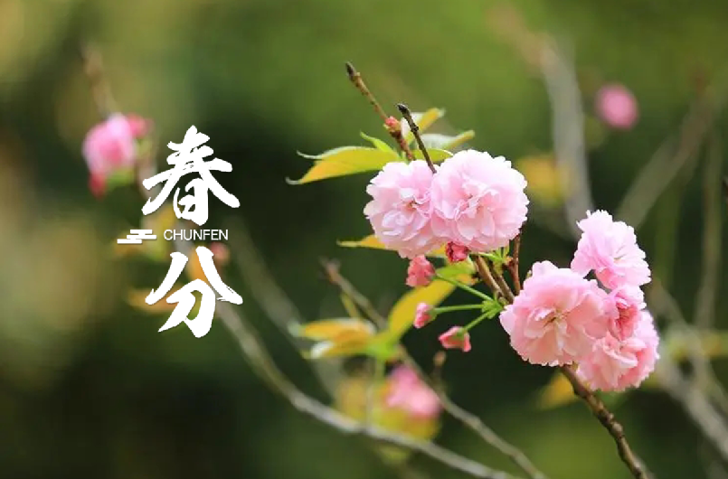 春分 | 春半日暖 昼夜平分，十首春半的诗词，带你览尽美好春光