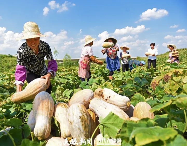 《贵州日报》刊登乾兴平文章