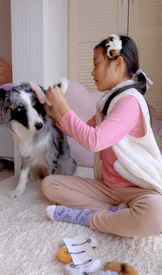 李小璐晒女儿假期生活，甜馨与宠物狗一起卖萌，上小学已经近视