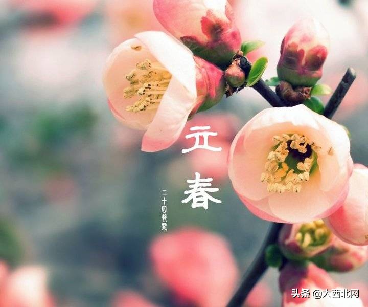 立春：兰州诗词给你一个诗意春天……