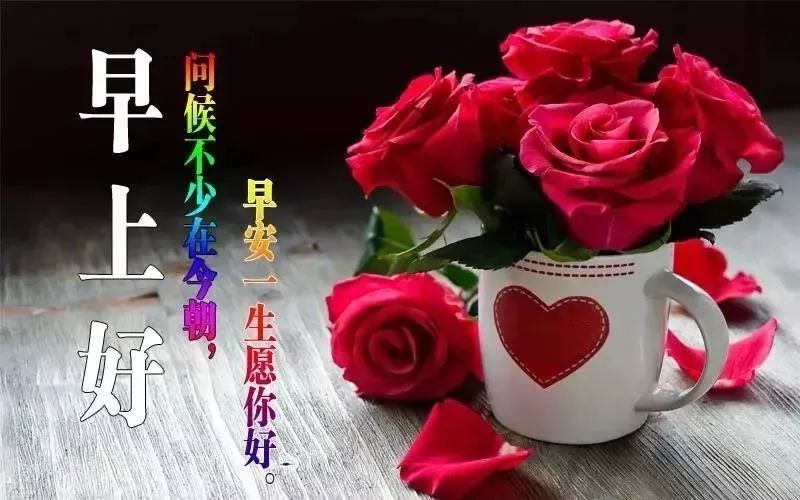 周一更新漂亮唯美早上好表情包 开心自在、美丽好心情图片