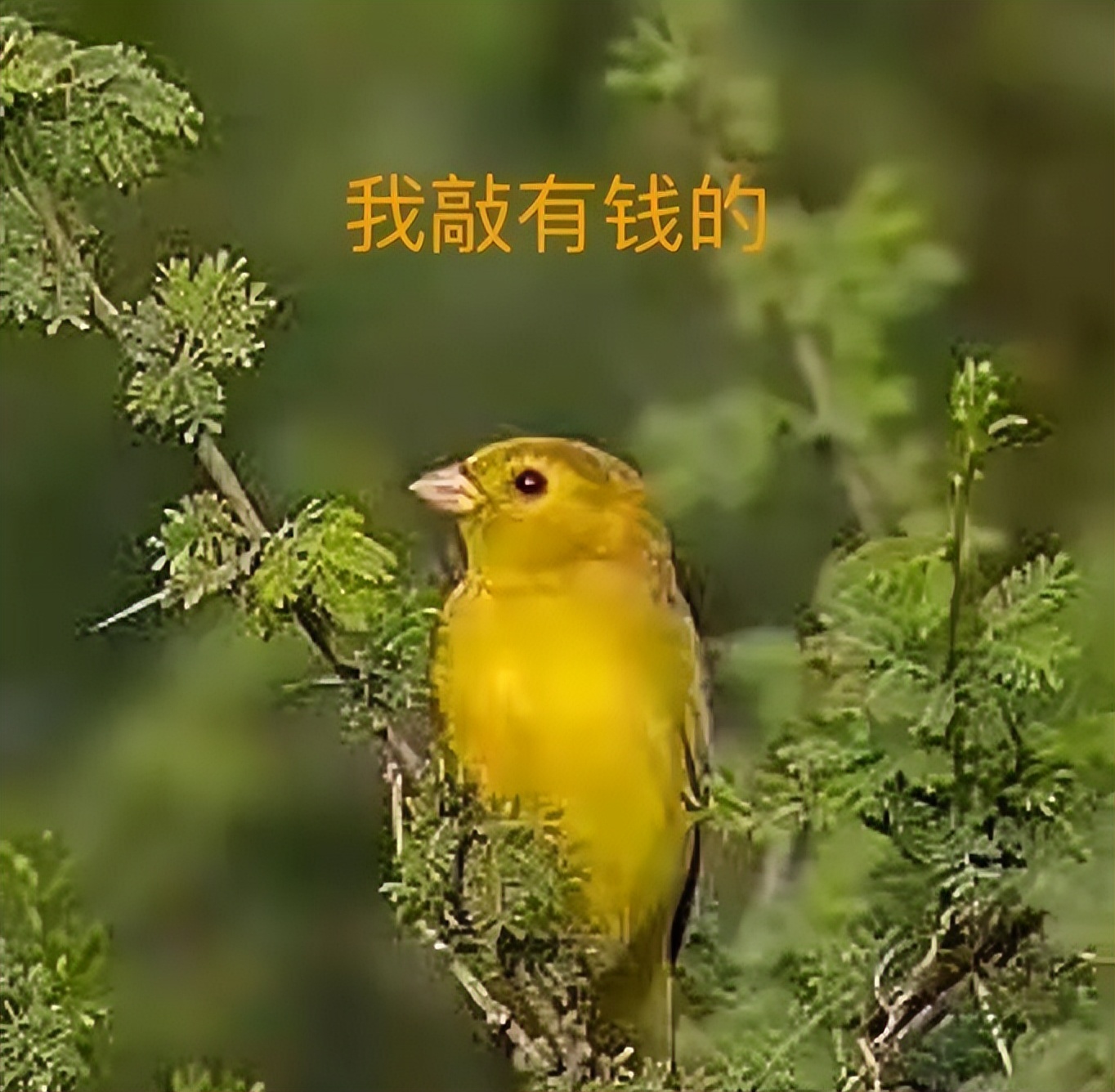 美国「AI四小龙」堵大厂门口挖人，大牛组团跑路跳槽